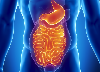 Changes in gut and Parkinson’s risk