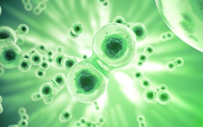 HIF1a: Growing better stem cells