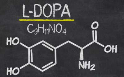 Effects of gut bacteria on L-Dopa: revealing the inner pharmacist